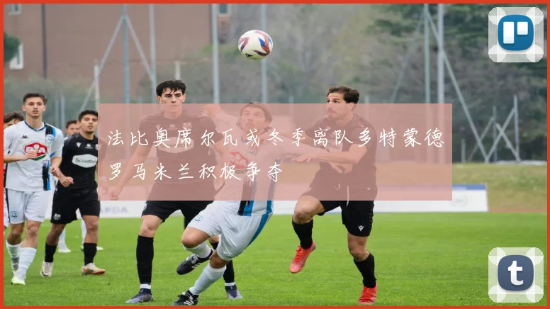 法比奥席尔瓦或冬季离队多特蒙德罗马米兰积极争夺