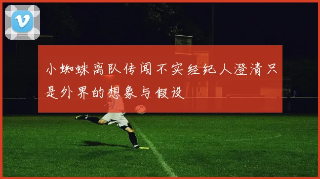 小蜘蛛离队传闻不实经纪人澄清只是外界的想象与假设